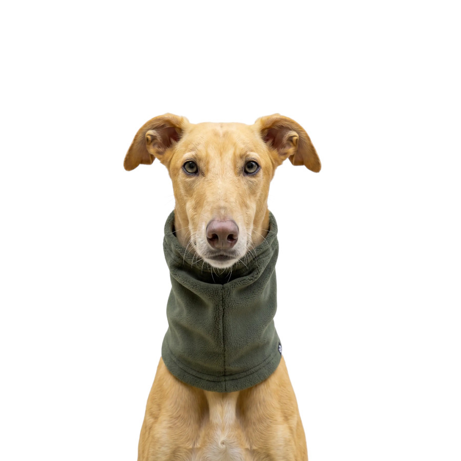 Gotoo Bufanda Polar Verde para perros, , large indicador imagen numero 7