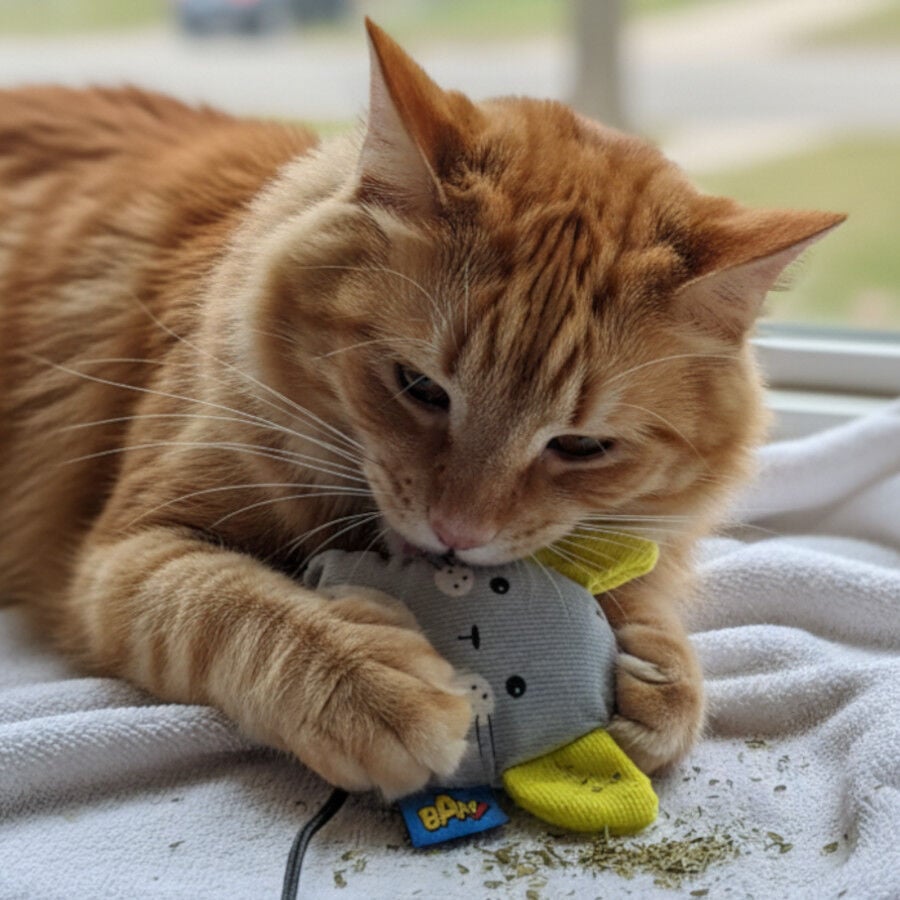 BAM! Peluche de Rat&oacute;n con Catnip para gatos, , large indicador imagen numero 1