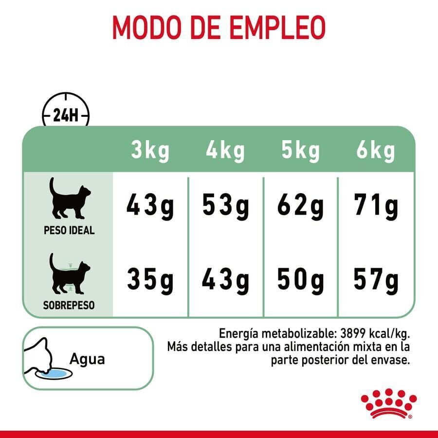 10 kg Royal Canin Adult Digestive pienso para gatos, , large indicador imagen numero 6