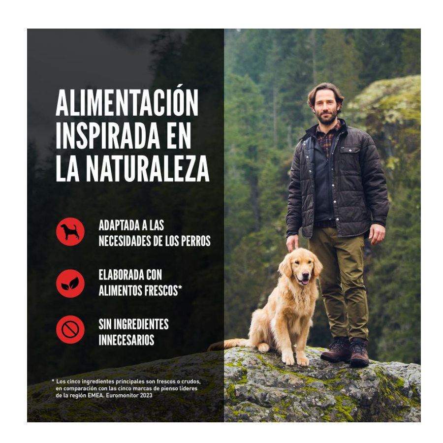 11.4 kg Orijen Adult Original pienso para perros, , large Imagen numero 11