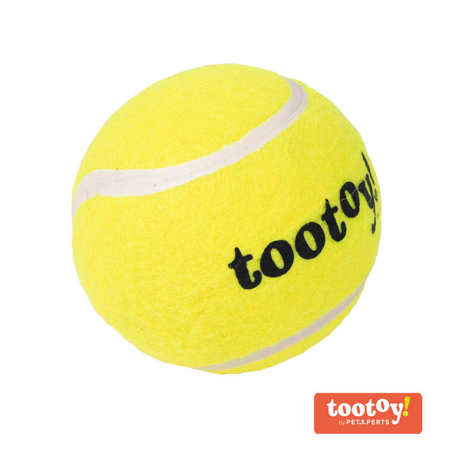 Tootoy! Chase Squeaker Ball pelota de tenis para perros, , large Imagen numero 1
