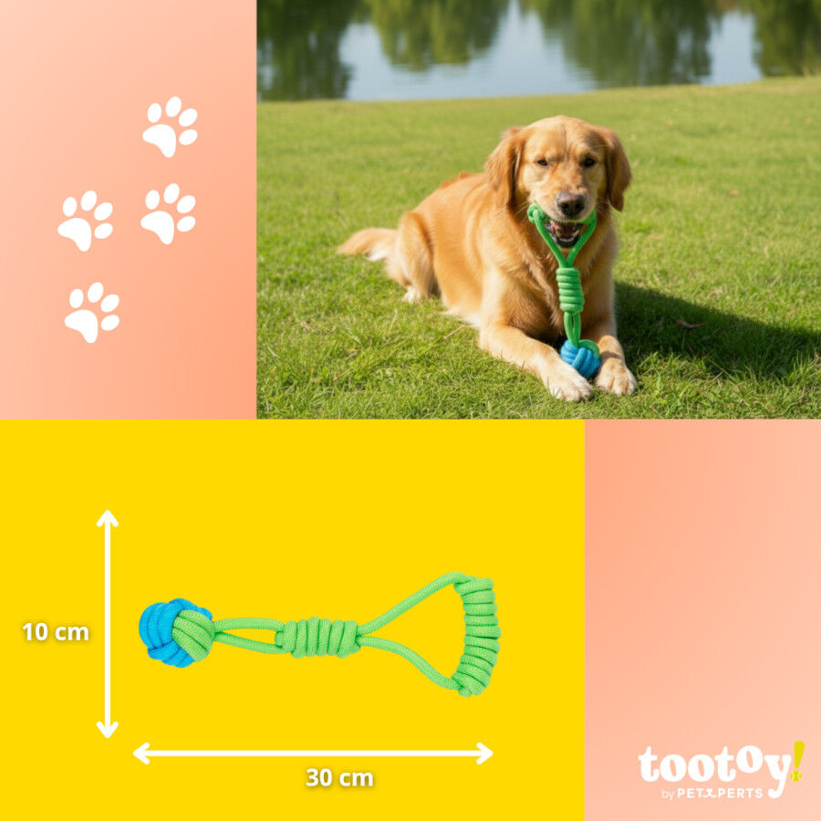 Tootoy! Modedor para Tirar de Cuerda con Pelota Verde y Azul para perros, , large indicador imagen numero 4
