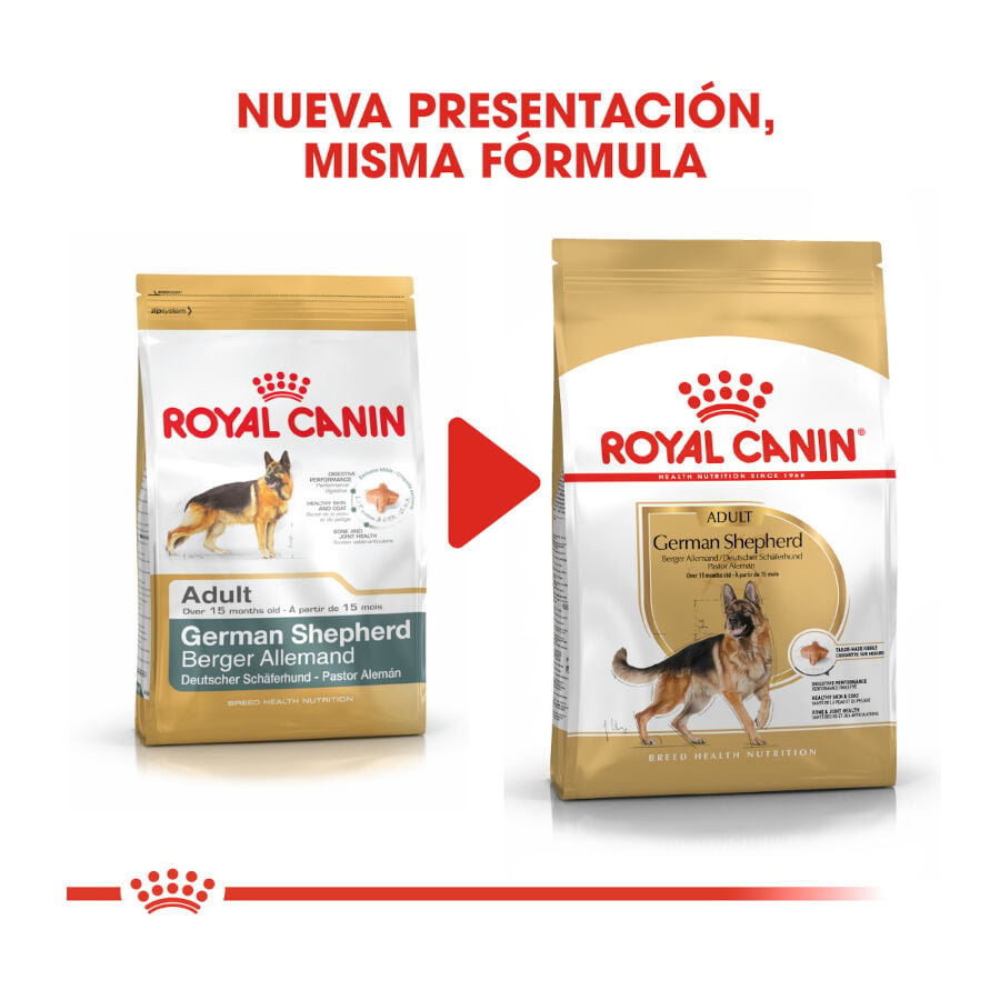 11 kg Royal Canin Adult Pastor Alem&aacute;n pienso para perros, , large indicador imagen numero 3