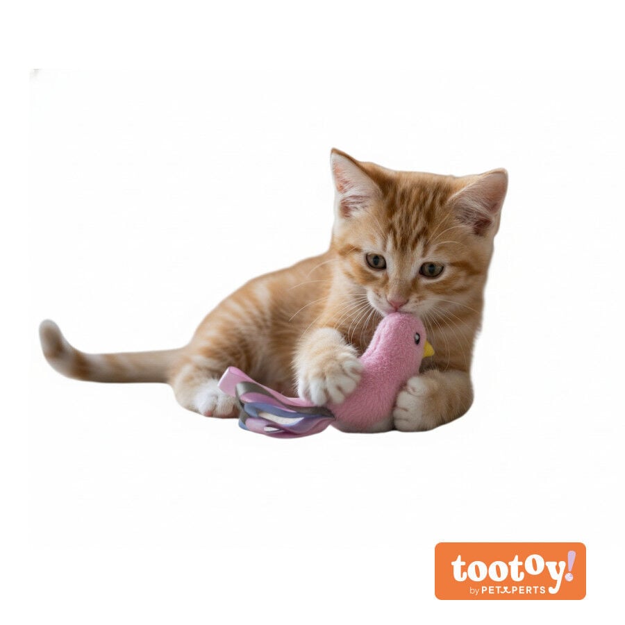 Tootoy! Peluche con Catnip P&aacute;jaro con Lazos para gatitos