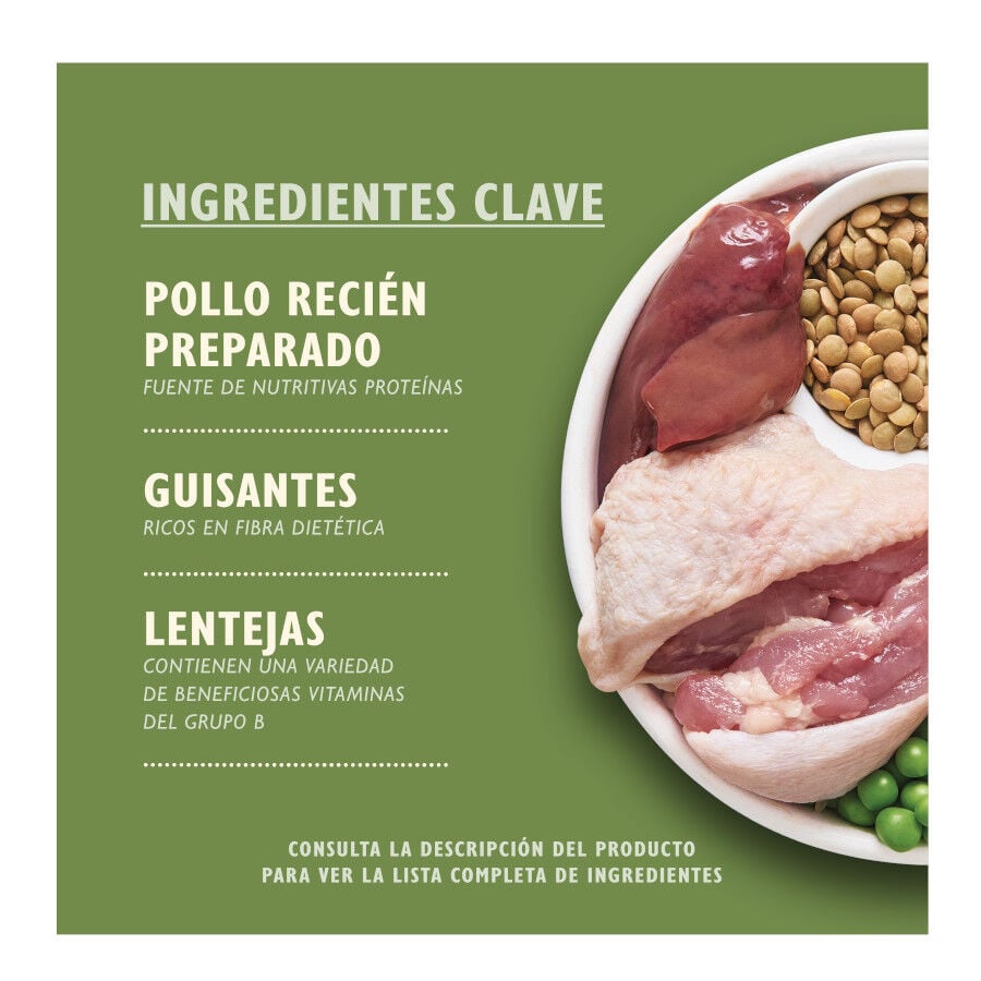 7 kg Lily's Kitchen Organic Pollo y Verdura pienso para perros, , large Imagen numero 2
