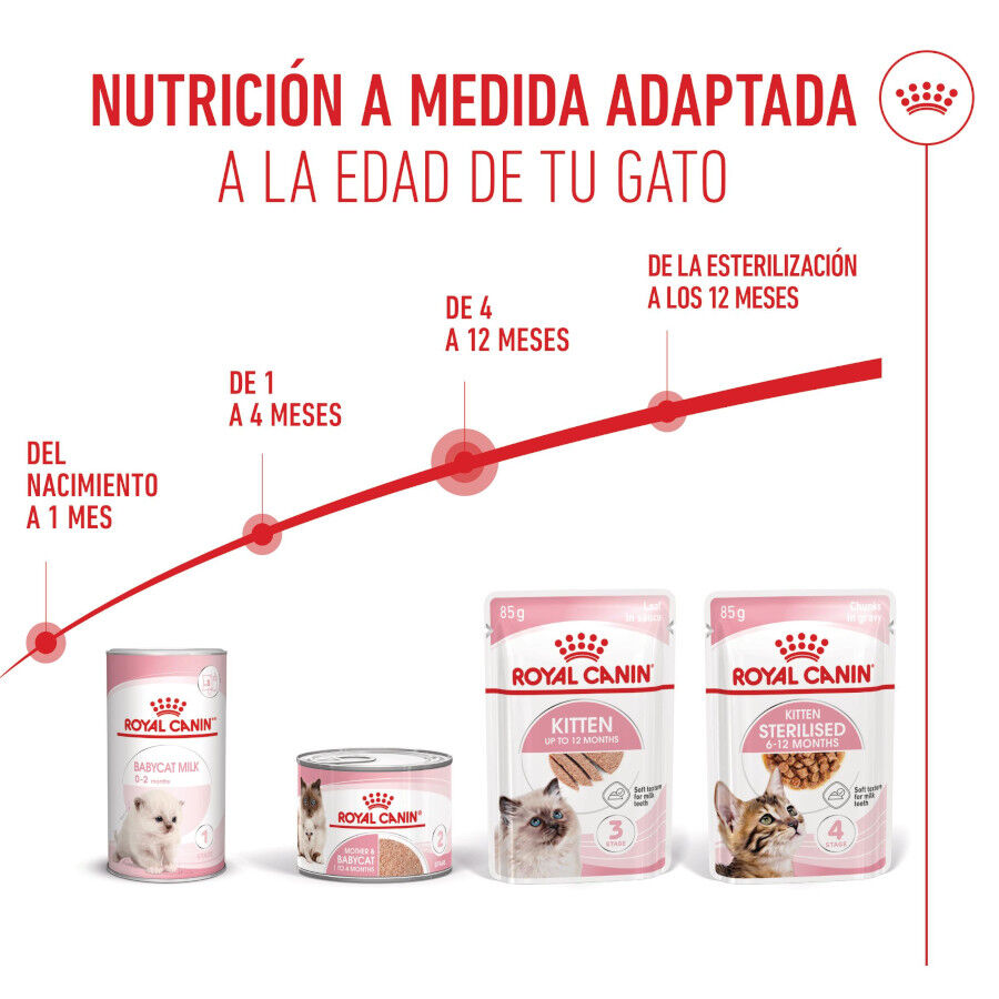 85 g Royal Canin Kitten pat&eacute; sobre para gatos, , large indicador imagen numero 6