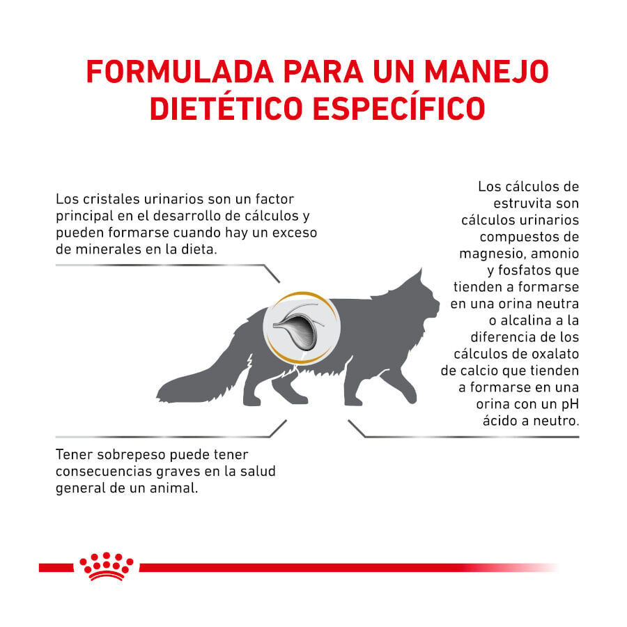 12 sobres x 85 g Royal Canin Veterinary Urinary Moderate Calorie sobres para gatos, , large indicador imagen numero 6