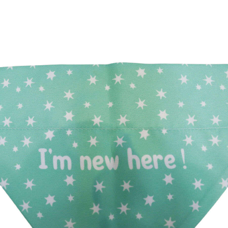 Gotoo Bandana estampada verde para perros, , large indicador imagen numero 4