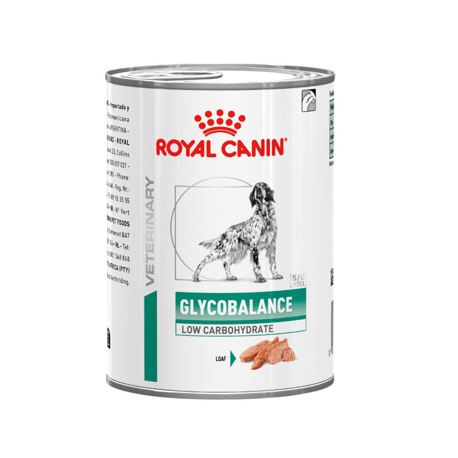 195 g Royal Canin Veterinary Diabetic latas para perros, , large indicador imagen numero 1