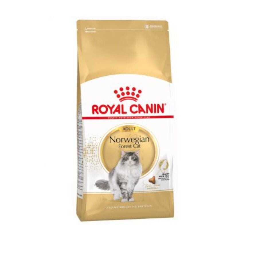 10 kg Royal Canin Adult Norwegian Forest pienso para gatos, , large Imagen numero 1