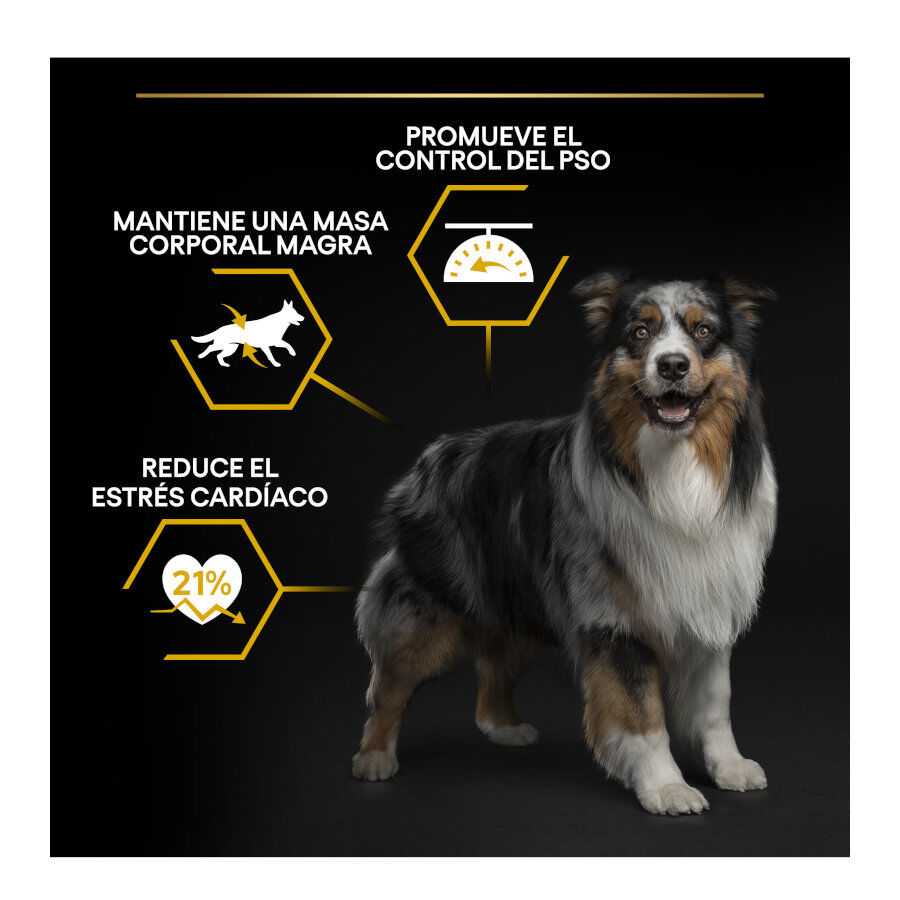 14 kg Pro Plan Adult Light/Sterilised Pollo pienso para perros, , large indicador imagen numero 3