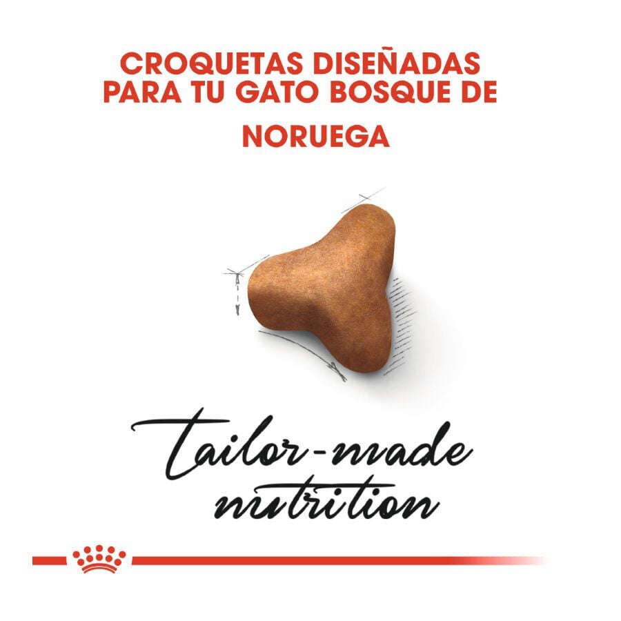 10 kg Royal Canin Adult Norwegian Forest pienso para gatos, , large indicador imagen numero 5