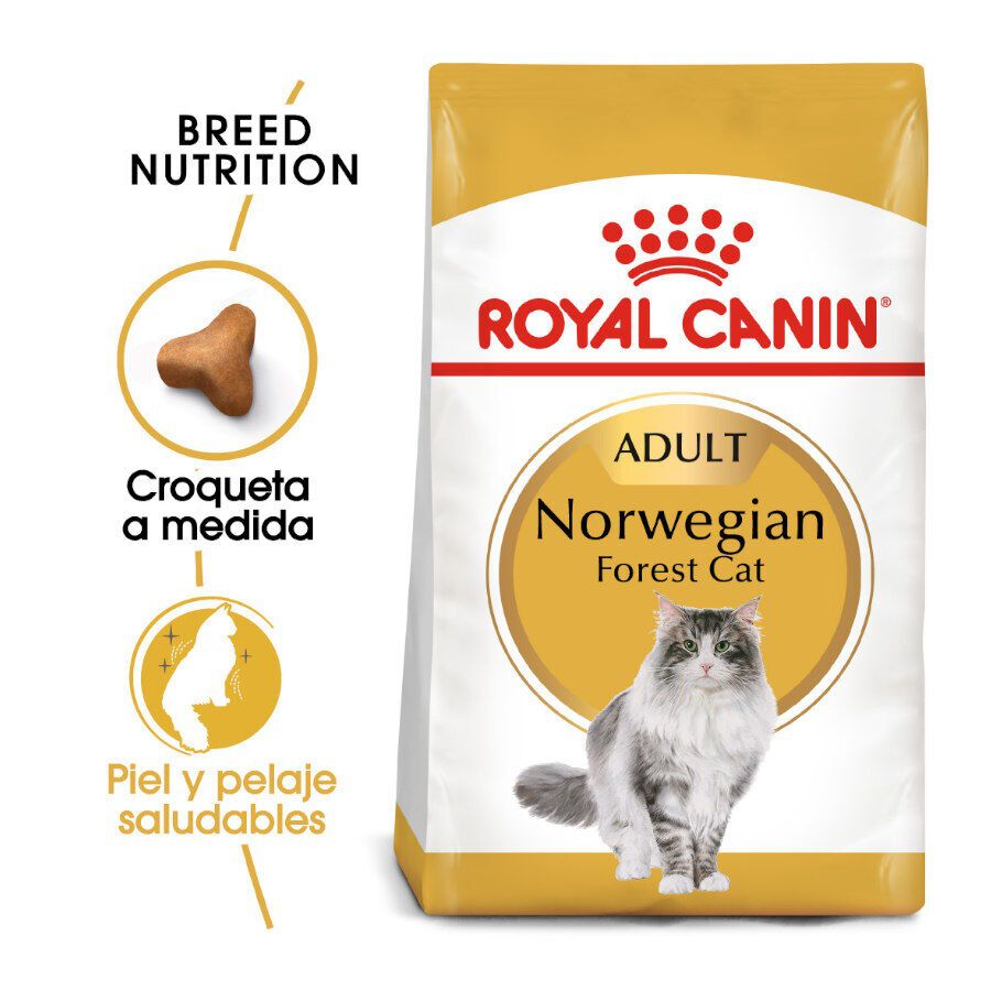 10 kg Royal Canin Adult Norwegian Forest pienso para gatos, , large indicador imagen numero 2