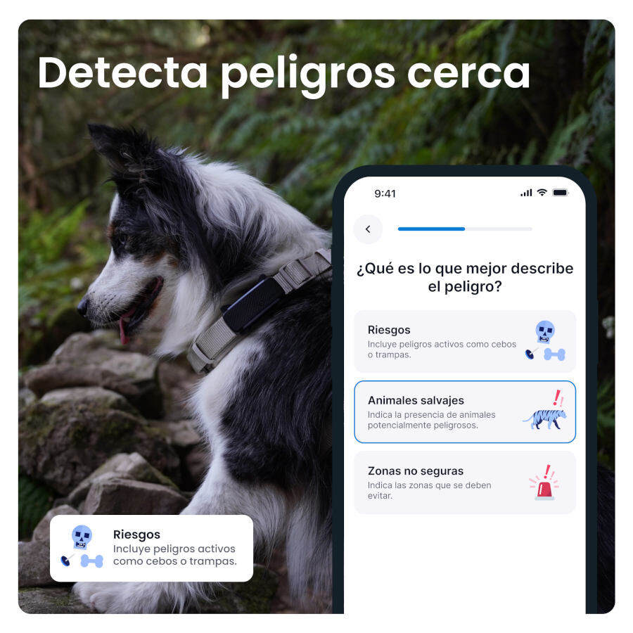 Tractive GPS Dog 6 Marr&oacute;n Rastreador para perros, , large indicador imagen numero 2