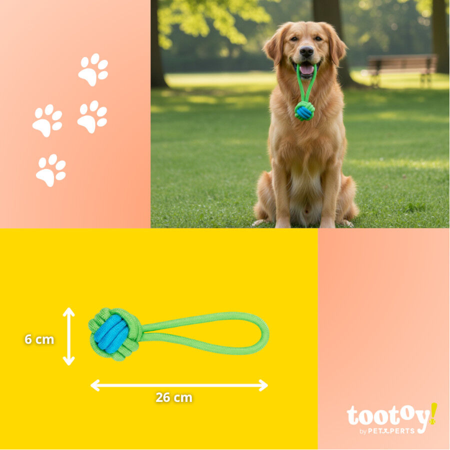Tootoy! Mordedor de Cuerda con Pelota Verde para perros, , large indicador imagen numero 4