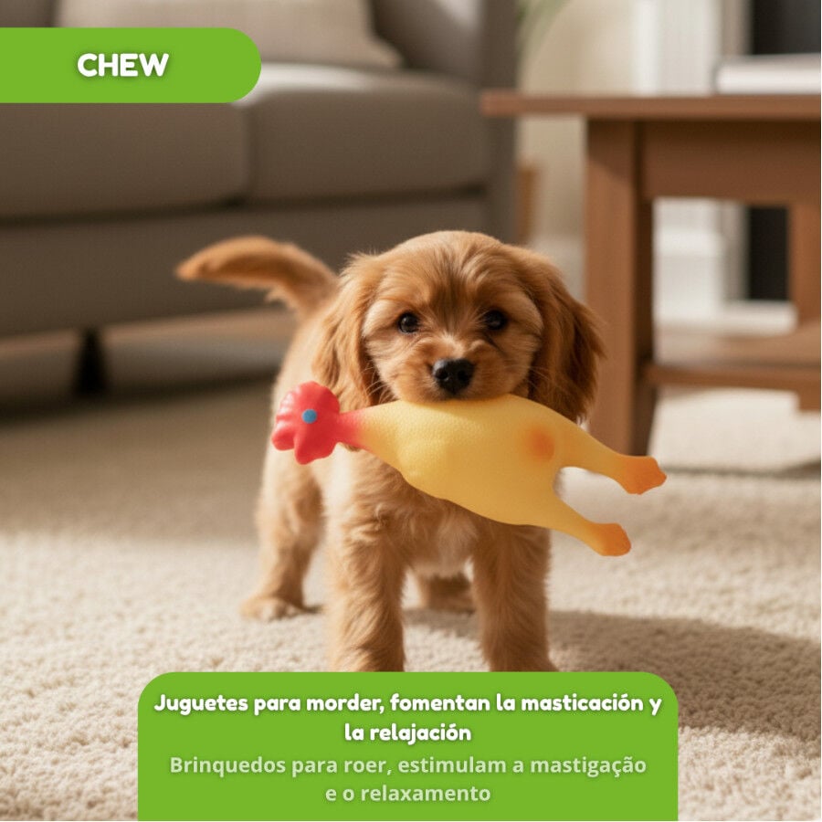 Tootoy! Juguete Pollo Mordedor con Sonido para perros, , large indicador imagen numero 6