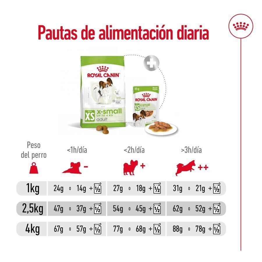 3 kg Royal Canin X-Small Adult pienso para perros, , large Imagen numero 9