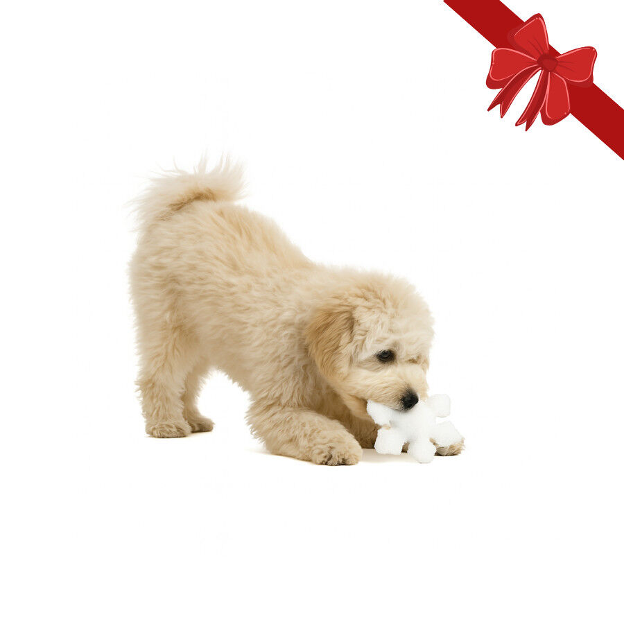 Wonder Christmas Peluche Copo de Nieve Navide&ntilde;o para perros, , large indicador imagen numero 1