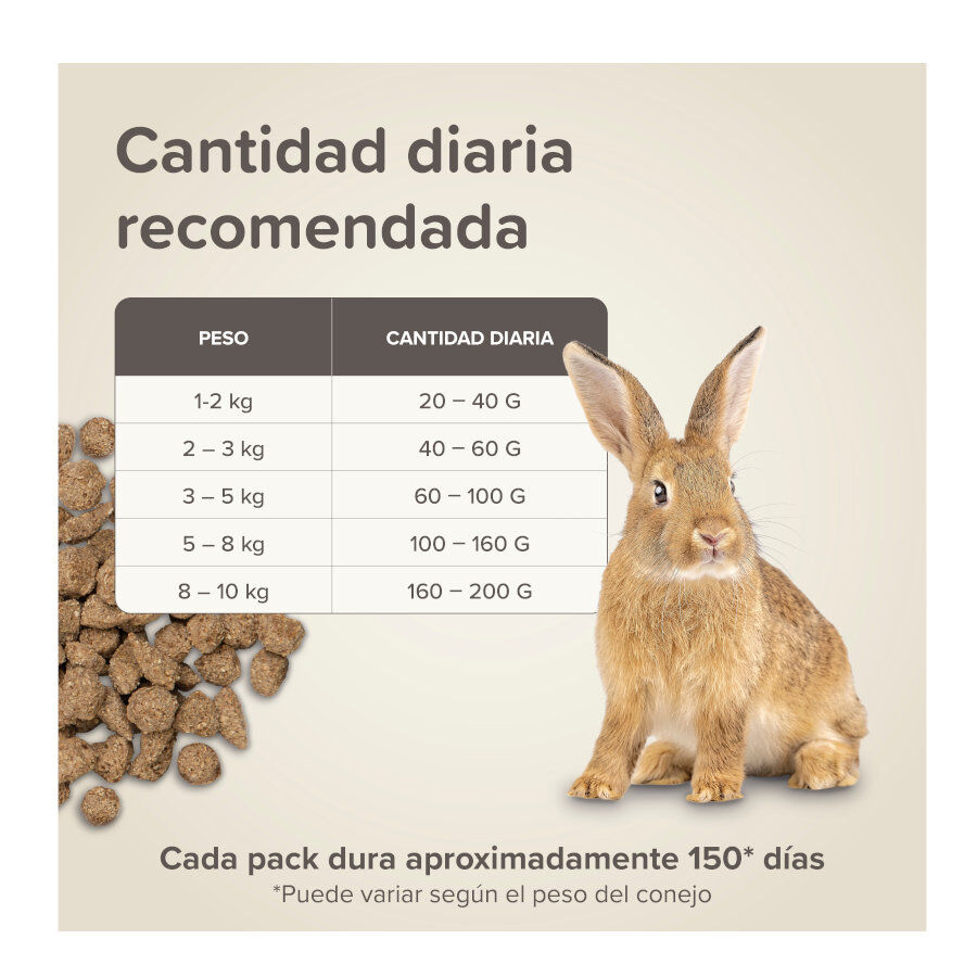 Beaphar Care+ Pienso para conejos, , large Imagen numero 9