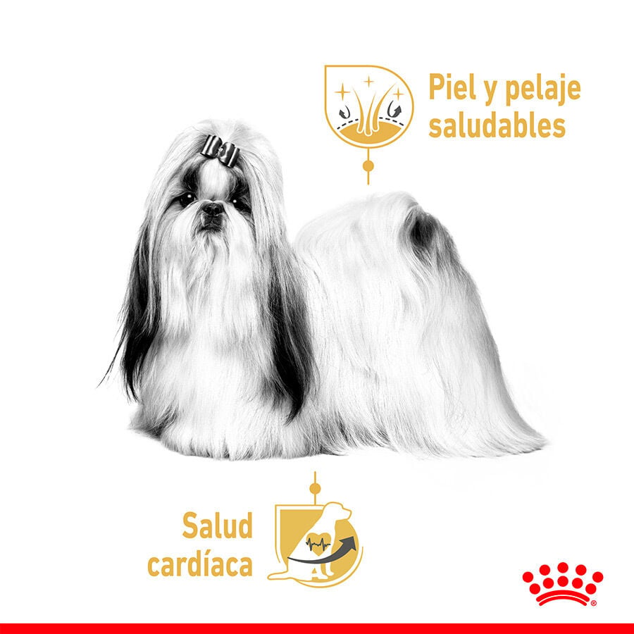 85 g Royal Canin Adult Shih Tzu Pat&eacute; sobre para perros, , large indicador imagen numero 5