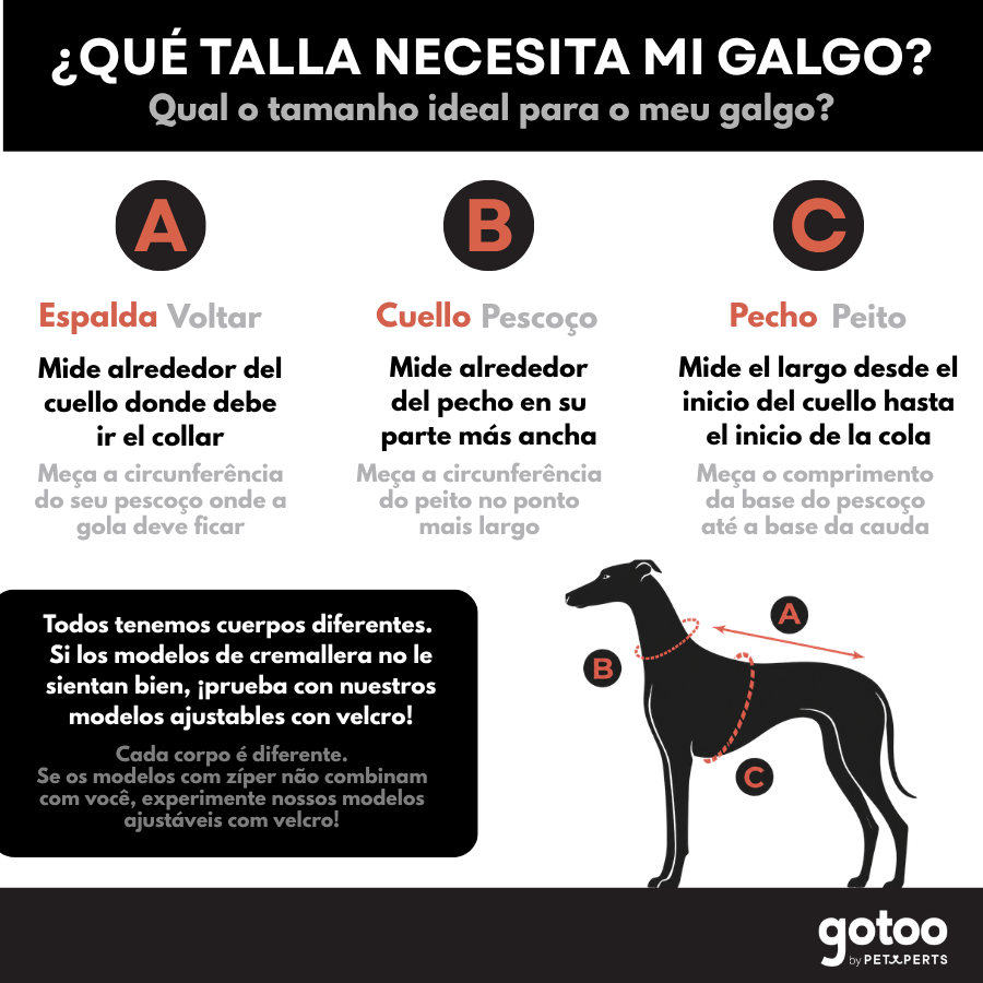 Gotoo Chaqueta Impermeable Rojo para galgos, , large Imagen numero 8