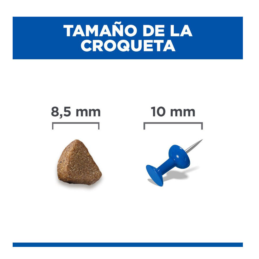 1.5 kg Hill's Science Plan Pienso Salm&oacute;n para gatitos, , large Imagen numero 4