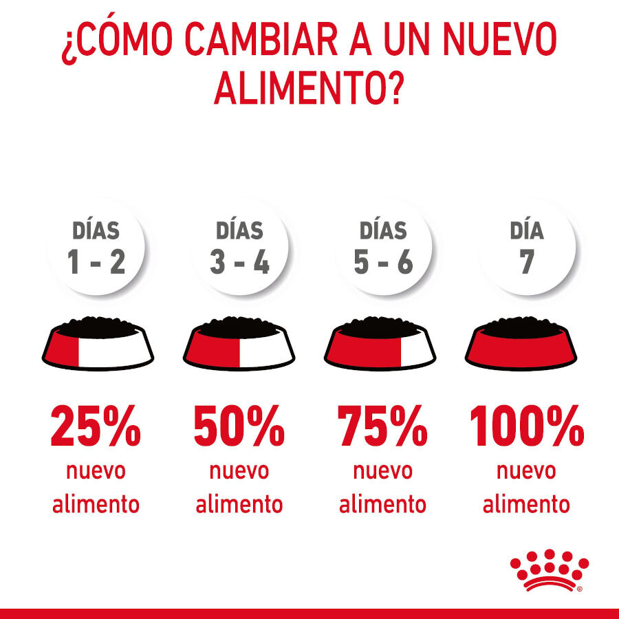85 g Royal Canin Hairball Care Sobre en Gelatina para gatos, , large indicador imagen numero 9