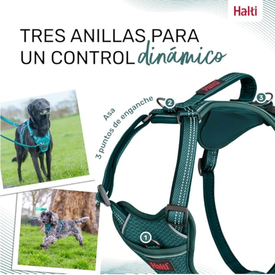 Halti arn&eacute;s anat&oacute;mico con asa azul verdoso para perros, , large indicador imagen numero 4