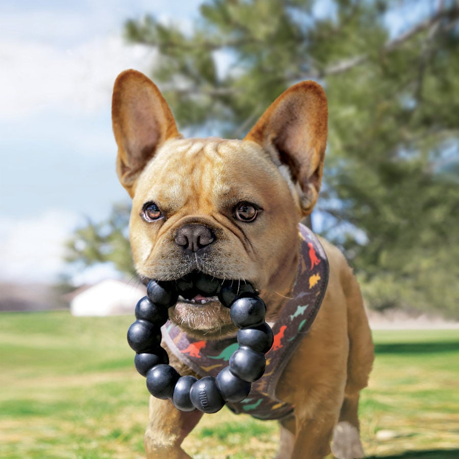 Kong Extreme Ring mordedor para perros, , large Imagen numero 2
