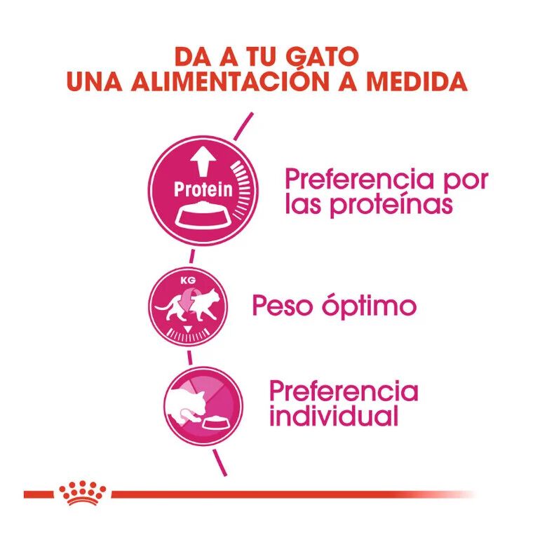 2 kg Royal Canin Adult Exigent Protein pienso para gatos, , large indicador imagen numero 4