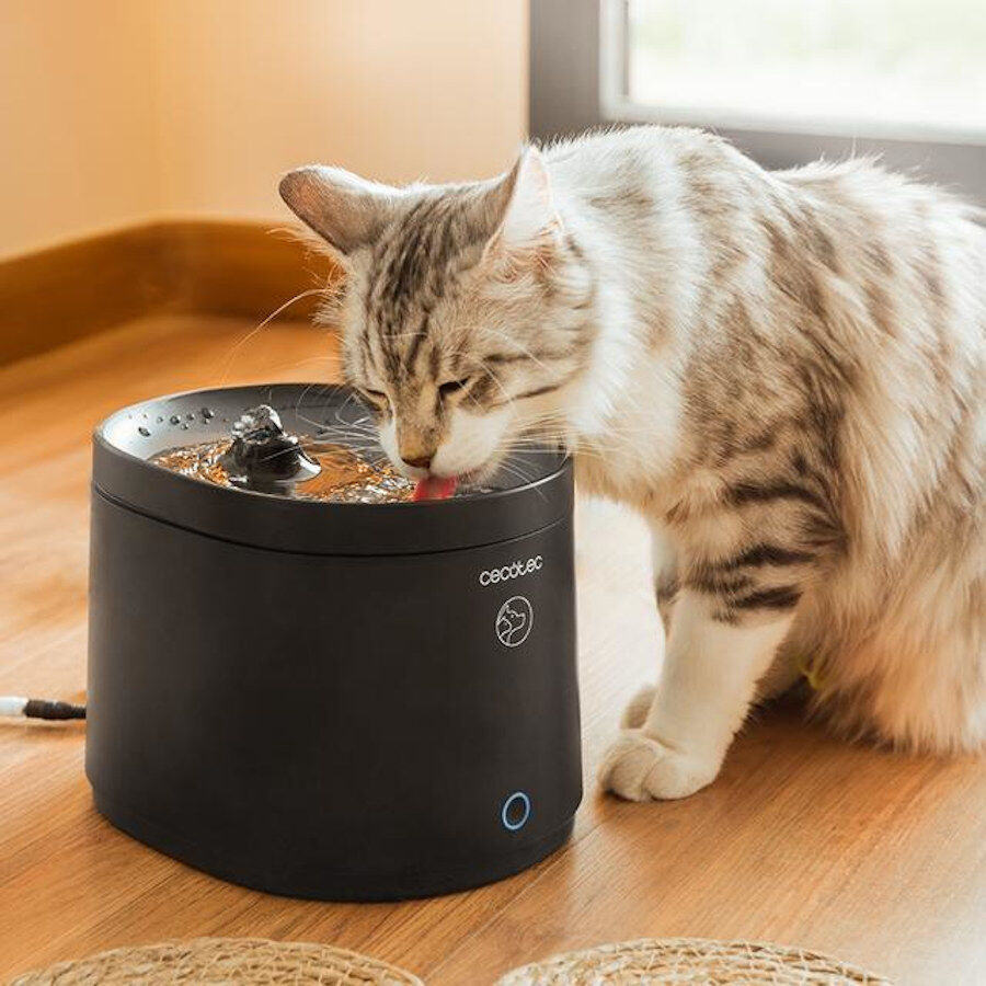 Cecotec Pumba 2500 Refresh Smart Fuente Bebedero Autom&aacute;tico para gatos, , large Imagen numero 6