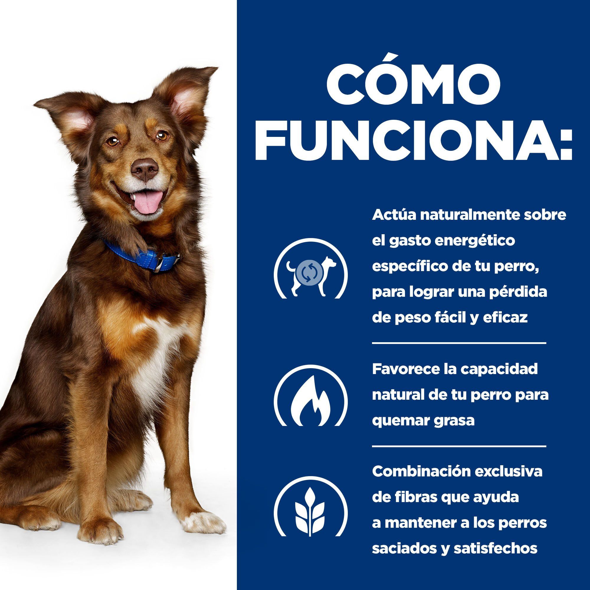 370 g Hill's Prescription Diet Metabolic Pollo lata para perros, , large Imagen numero 3