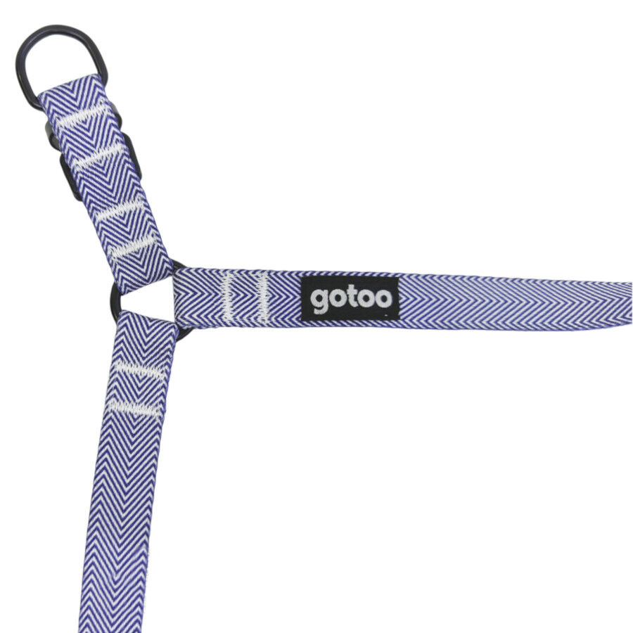 Gotoo Arn&eacute;s estampado rayas azules para perros, , large indicador imagen numero 4
