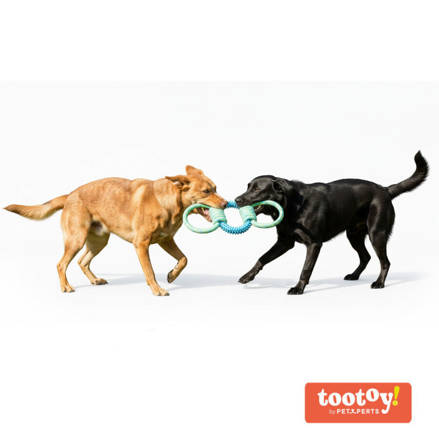 Tootoy! Mordedor de Cuerda y Goma Triple para perros, , large indicador imagen numero 7