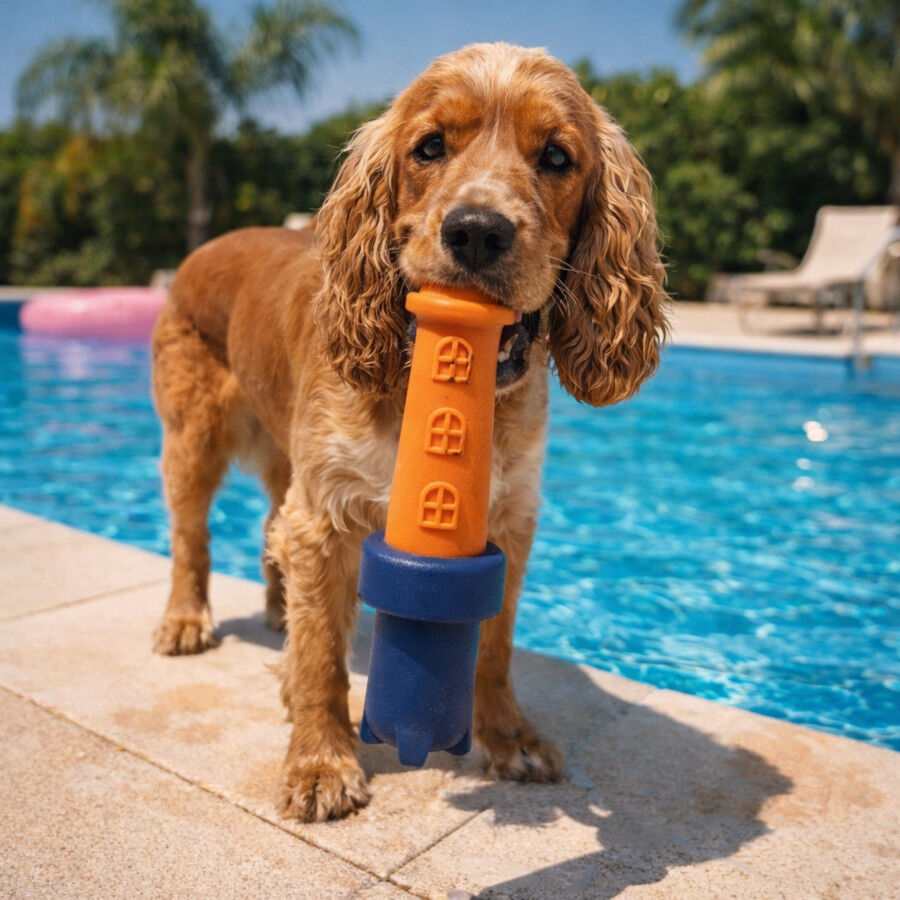 Summer Vibes Faro Flotante Mordedor Juguete para perros, , large Imagen numero 1