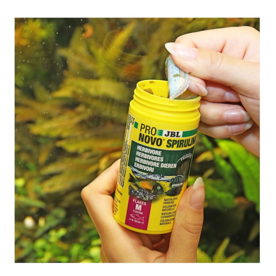 JBL Spirulina Escamas Vegetales para peces algu&iacute;voros, , large Imagen numero 3