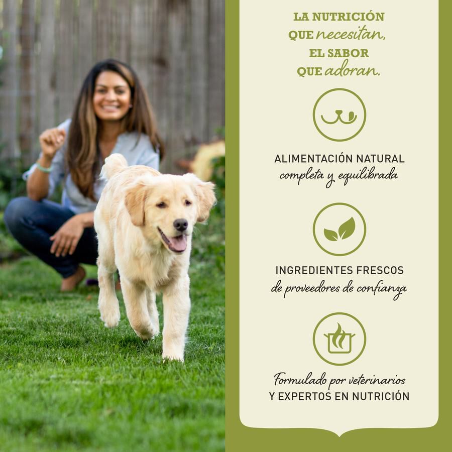 11.4 kg Acana Singles Grass-Fed Lamb pienso para perros, , large Imagen numero 4