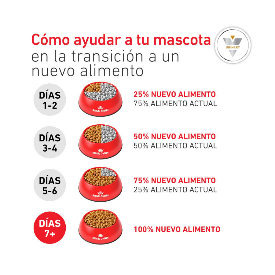 9 kg Royal Canin Veterinary Urinary S/O Moderate Calorie pienso para gatos, , large Imagen numero 10
