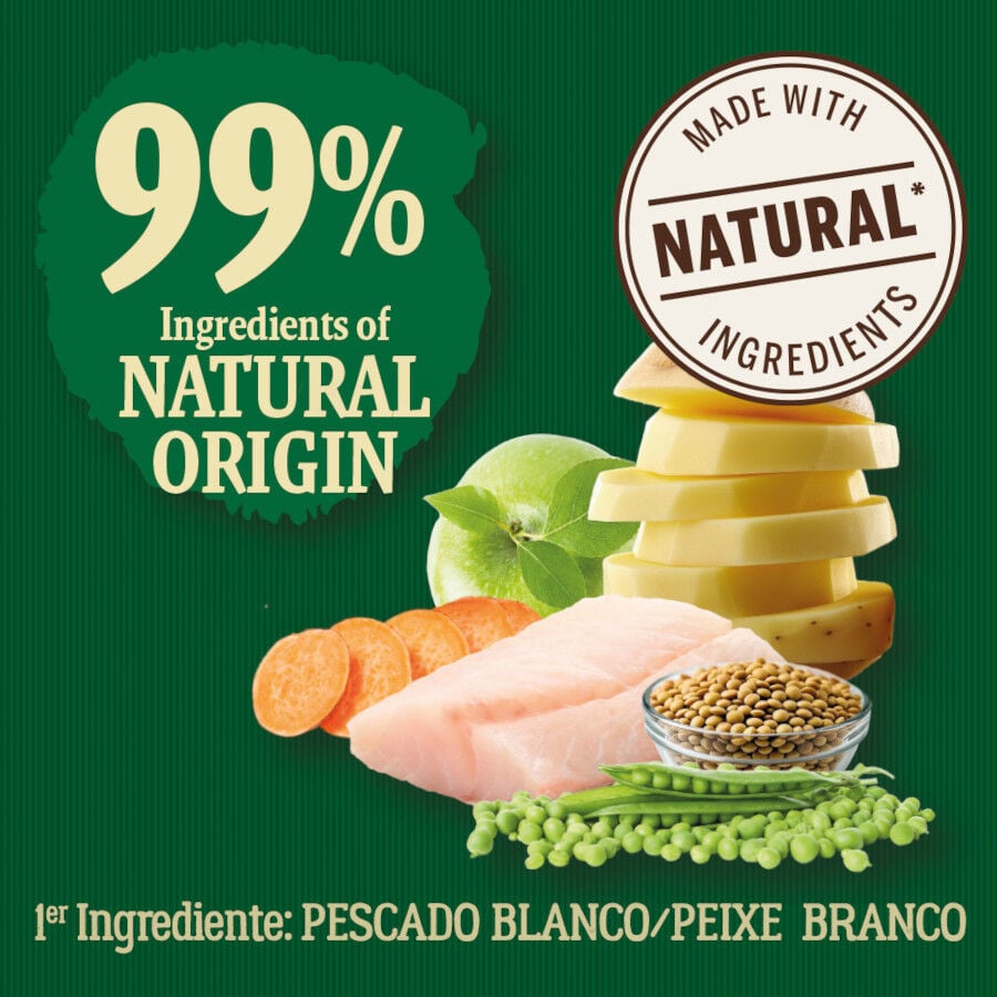 True Origins Wild Golden Coast con Pescado blanco pienso para perros, , large indicador imagen numero 3