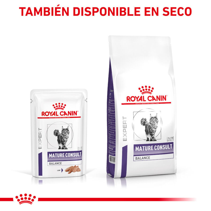 12 sobres x 85 g Royal Canin Mature Consult Balance Pat&eacute; sobre para gatos, , large Imagen numero 7
