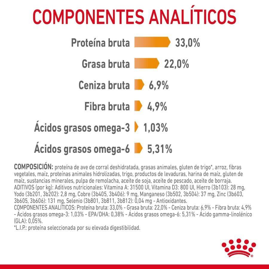 10 kg Royal Canin HairySkin pienso para gatos, , large indicador imagen numero 4