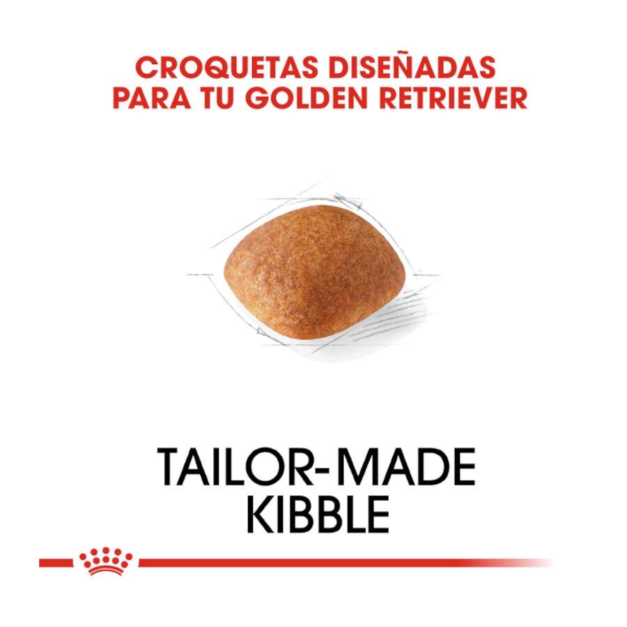 12 kg Royal Canin Adult Golden Retriever pienso para perros, , large indicador imagen numero 5