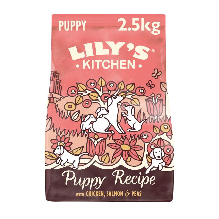 2.5 kg Lily's Kitchen Puppy Pollo y Salm&oacute;n pienso para perros, , large indicador imagen numero 1