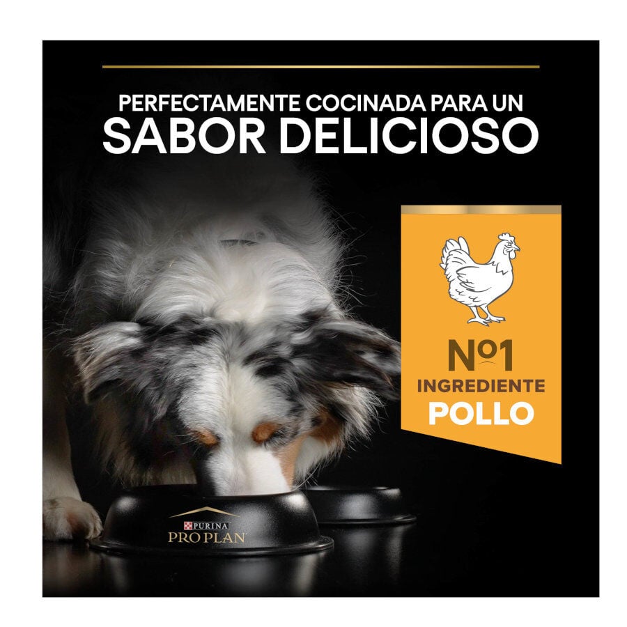 14 kg Pro Plan Adult Light/Sterilised Pollo pienso para perros, , large indicador imagen numero 8