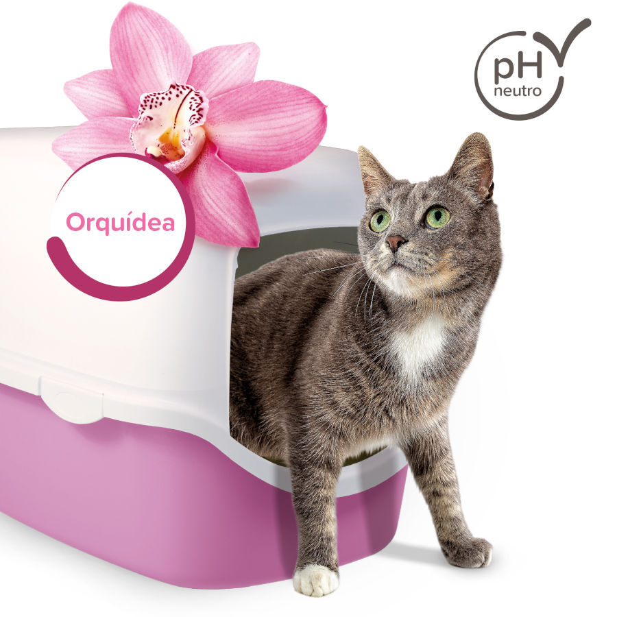 Beaphar Multi Fresh Orqu&iacute;dea Neutralizador de Olores para gatos, , large indicador imagen numero 4