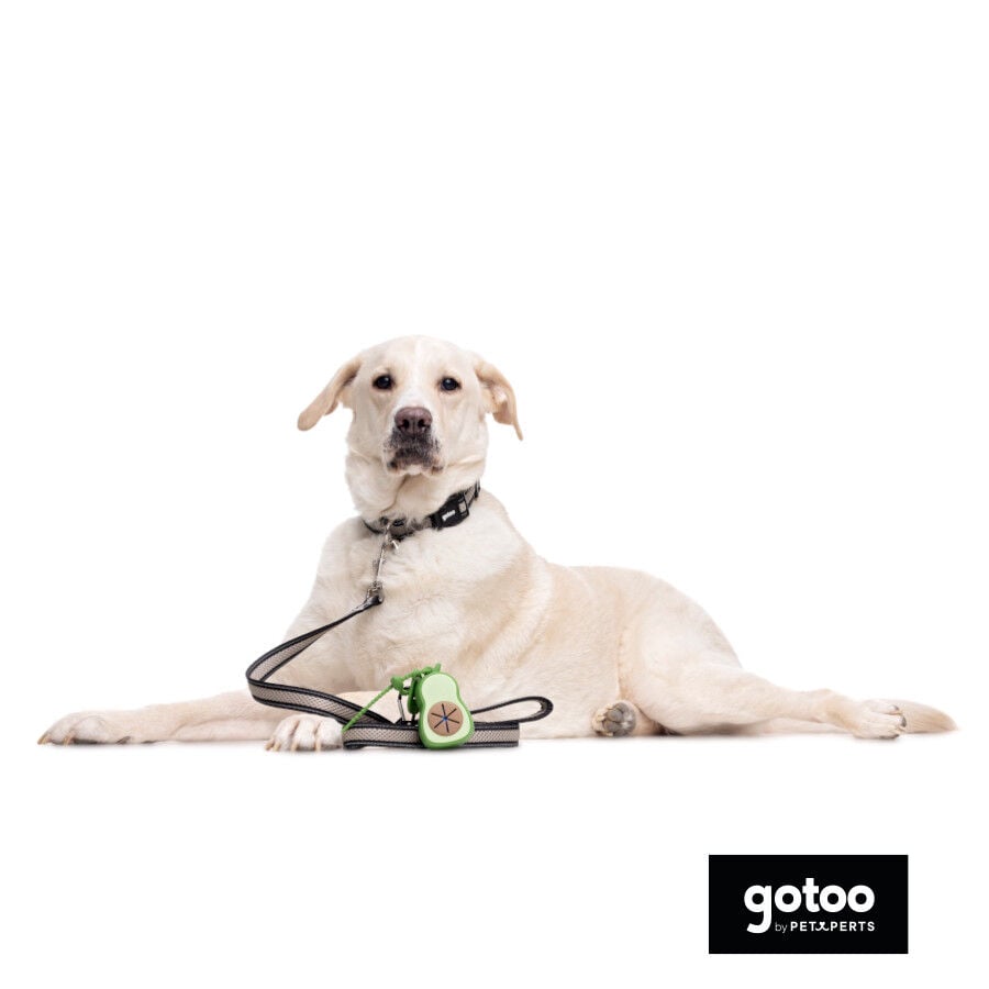 Gotoo Porta bolsas silicona avocado para perros, , large Imagen numero 3