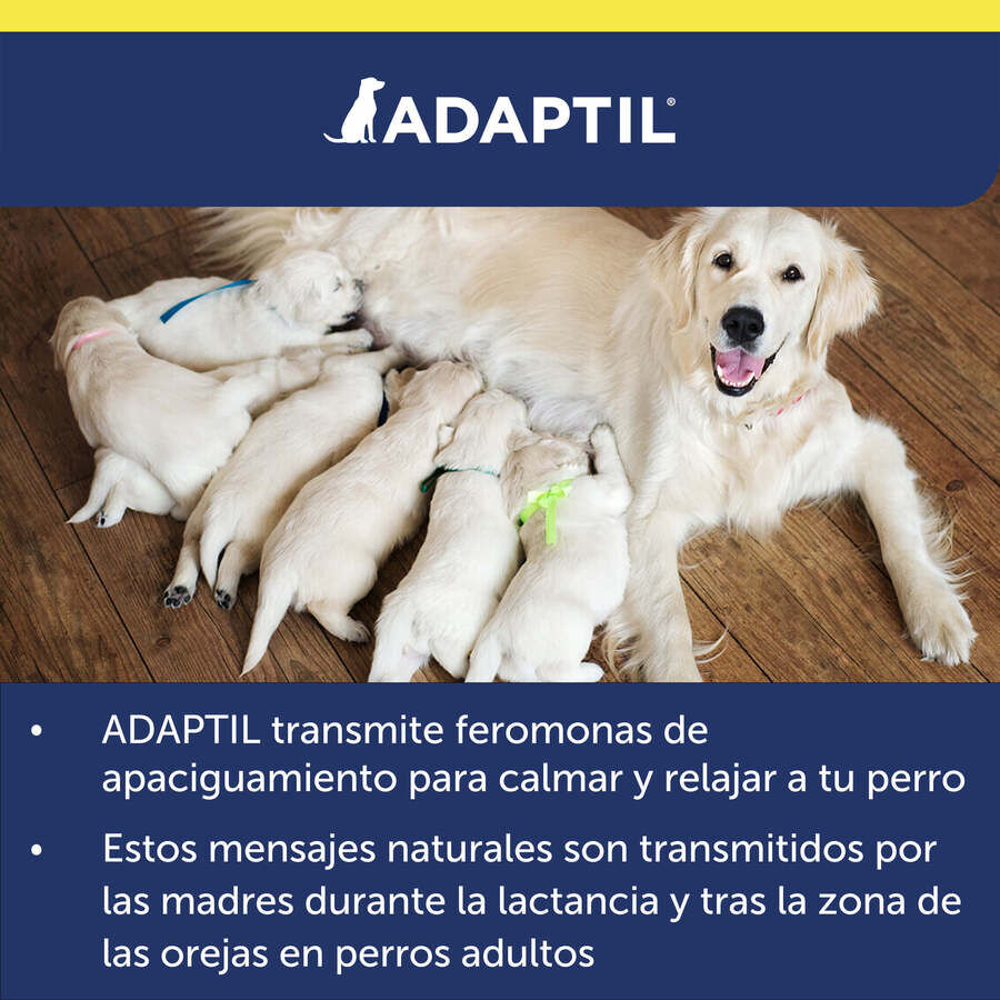 Adaptil Transport Spray Tranquilizante Viajes para perros, , large Imagen numero 9