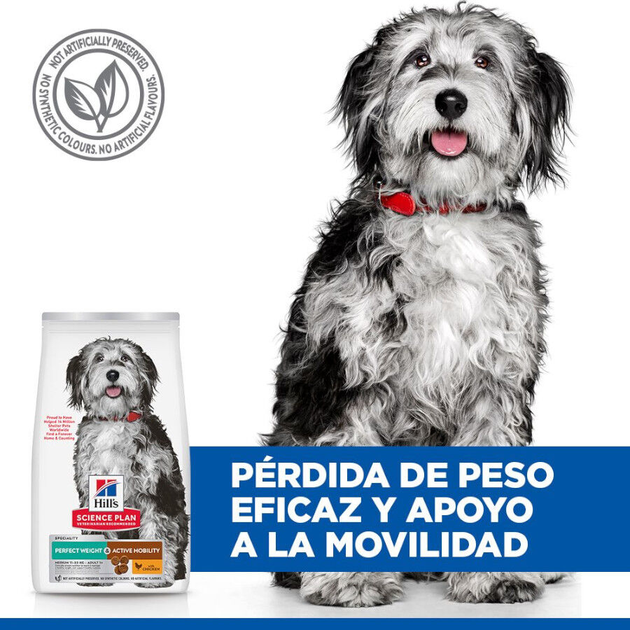 12 kg Hill's Science Plan Perfect Weight y Active Mobility pollo pienso para perros medianos, , large Imagen numero 5