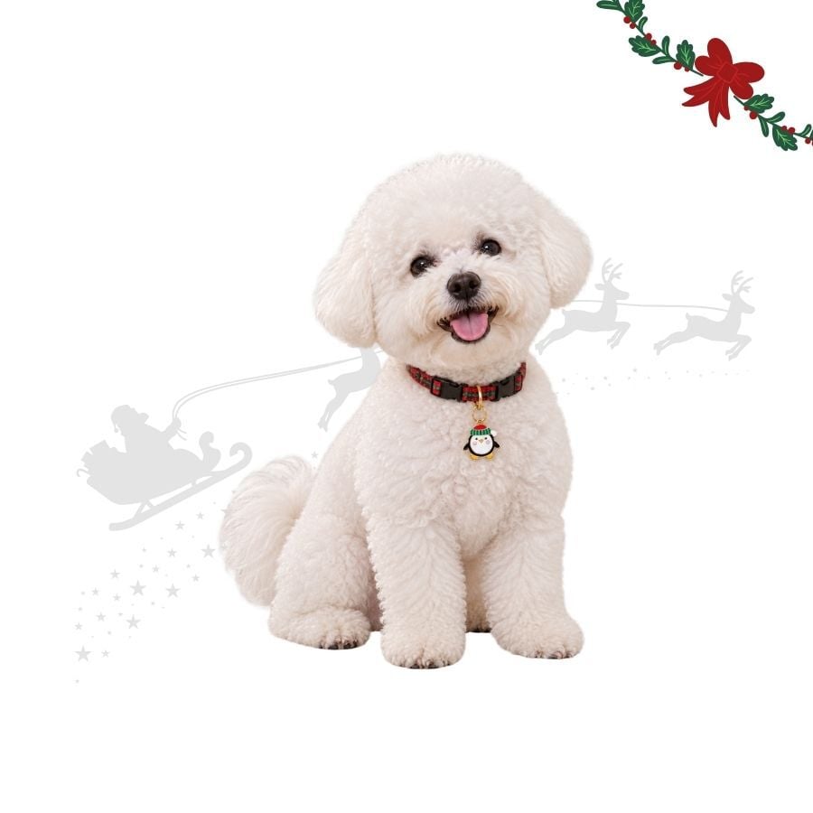 Wonder Christmas Colgante Collar Ping&uuml;ino para perros, , large Imagen numero 1