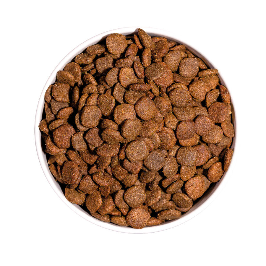 3 kg Ownat Mini Adult Ultra Pollo y Pavo pienso para perros, , large indicador imagen numero 2